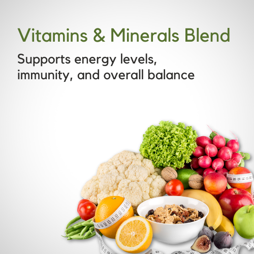 Maxone Meal Replacement Shake