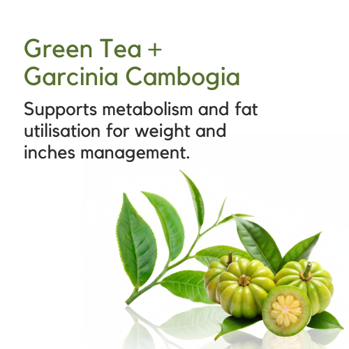 Ecofit Herbal Detox Tea (100gm)