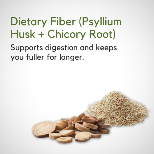 Maxone Meal Replacement Shake