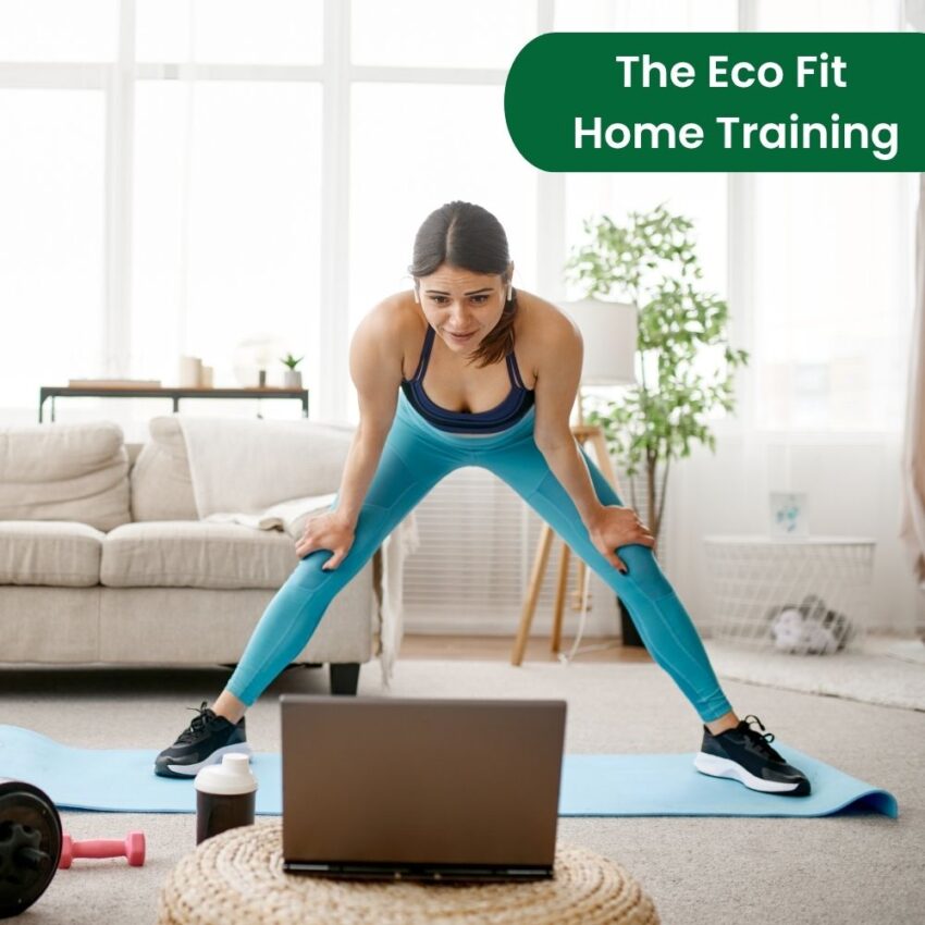 Online Weight Loss Training