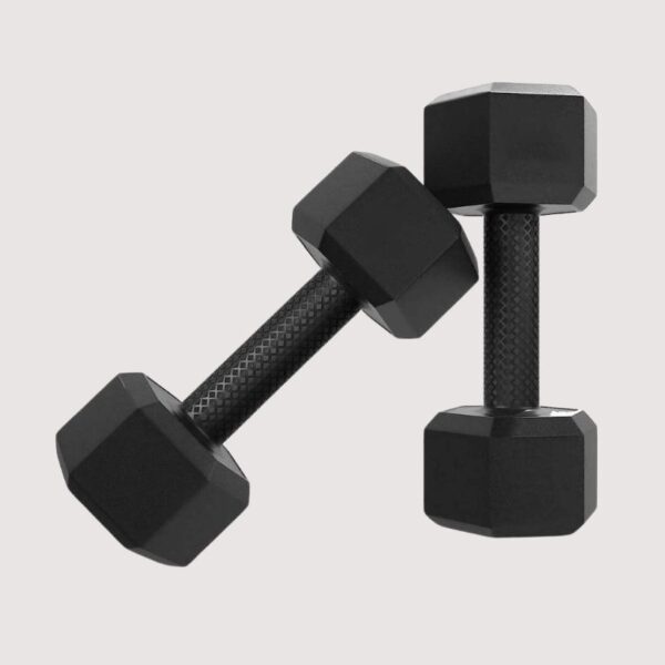 Ecofit Dumbbell Set (Pair)
